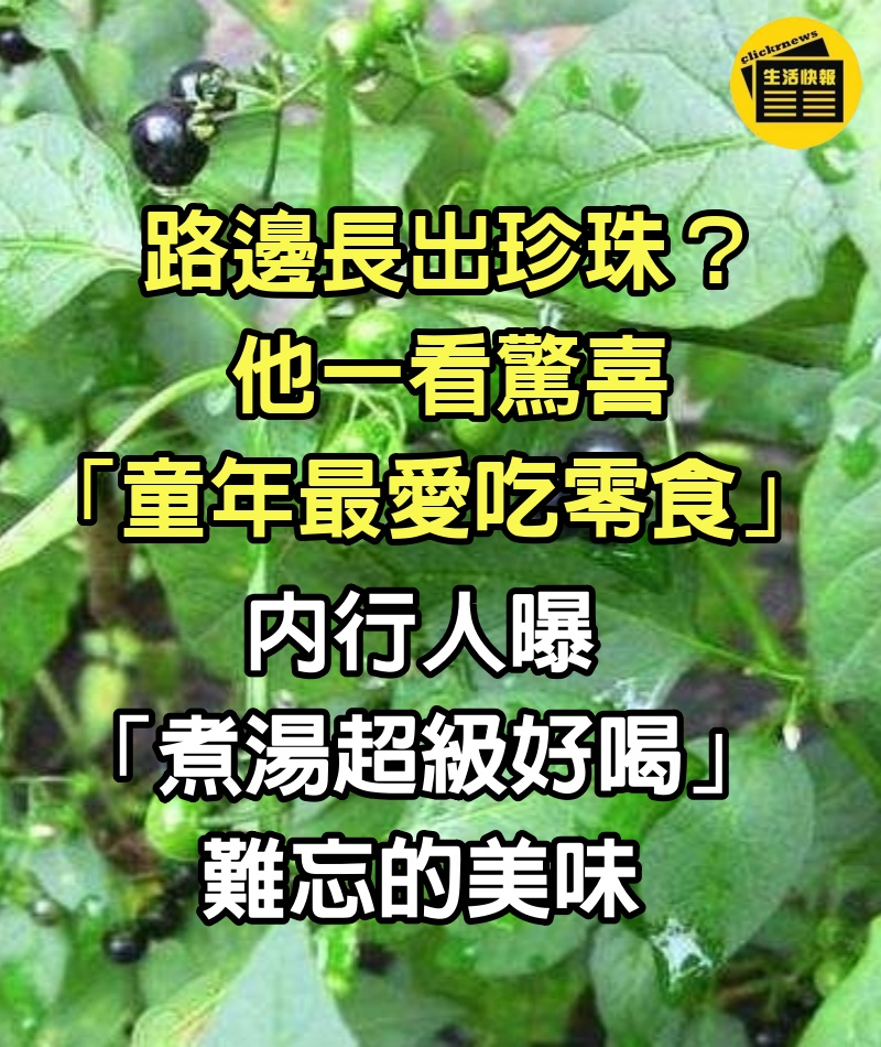 路邊長出珍珠？他一看驚喜「童年最愛吃零食」 內行人曝「煮湯超級好喝」：難忘的美味