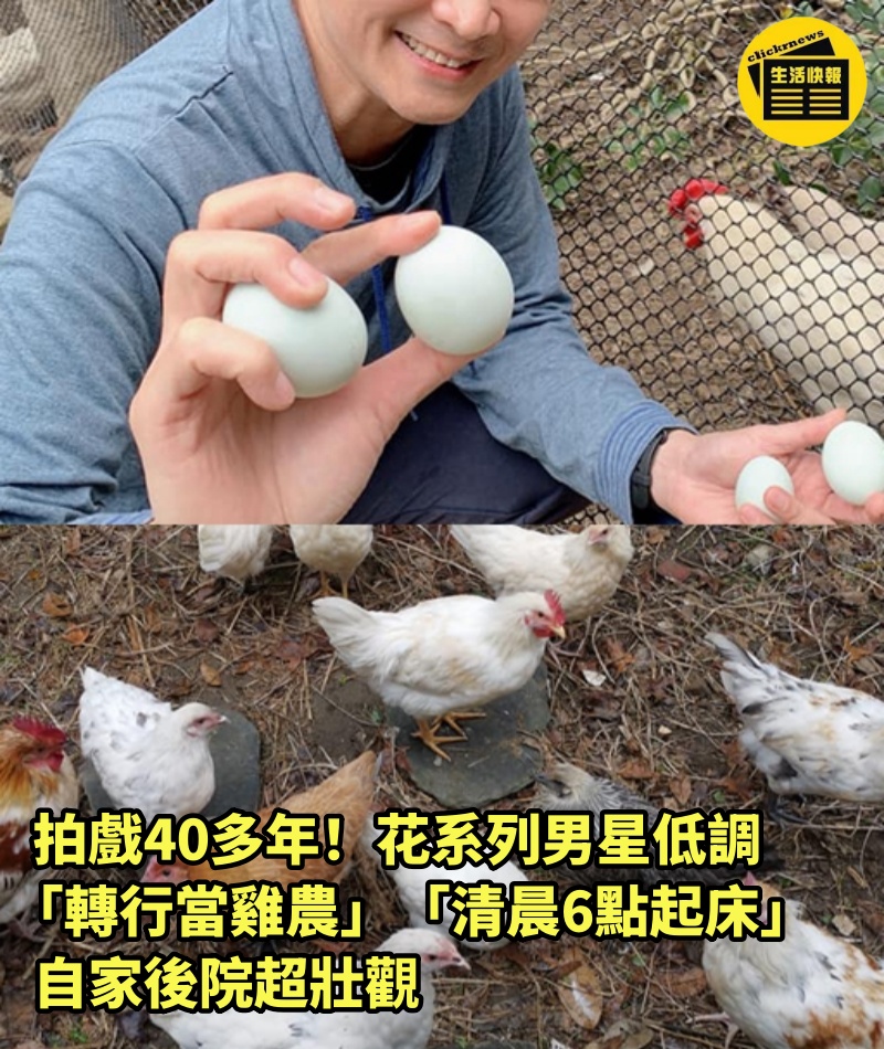 拍戲40多年！花系列男星低調「轉行當雞農」　「清晨6點起床」自家後院超壯觀