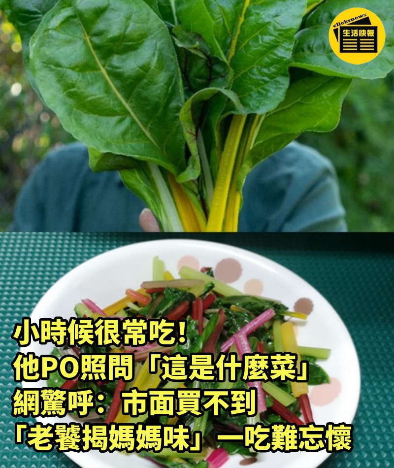 小時候很常吃！他PO照問「這是什麼菜」網驚呼：市面買不到　「老饕揭媽媽味」一吃難忘懷