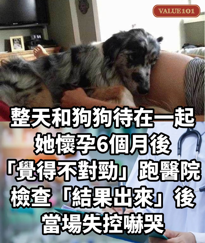 整天和狗狗待在一起!她懷孕6個月後「覺得不對勁」跑醫院,檢查「結果出來」後當場失控嚇哭